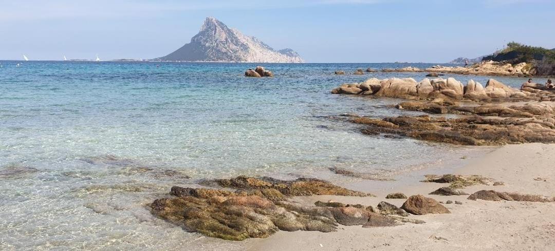 Magic Dalu Con Posto Auto Διαμέρισμα Όλμπια Εξωτερικό φωτογραφία